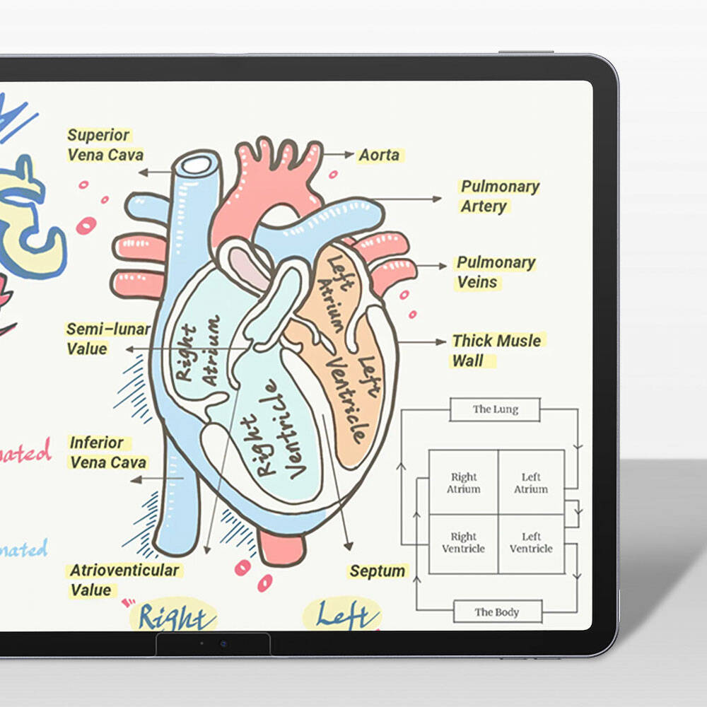 Benks Mat Paper-Like iPad Pro 11 2024 Kağıt Hisli Ekran Koruyucu Benks Mat Paper-Like iPad Pro 11 2024 Kağıt Hisli Ekran Koruyucu